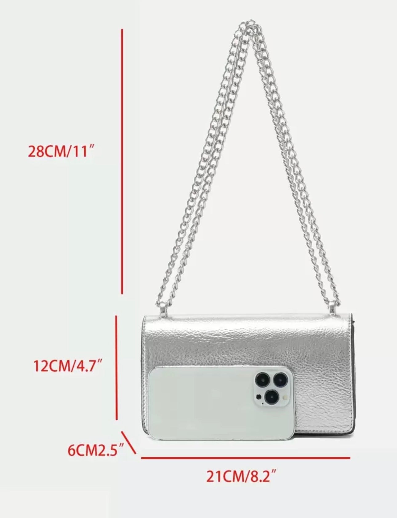 Silver Bag